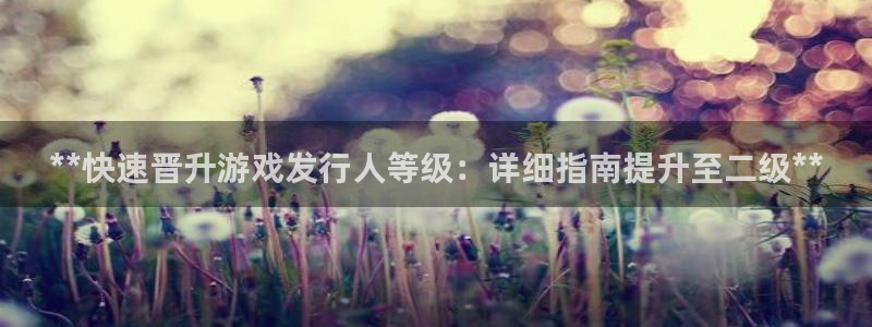门徒平台地址：**快速晋升游戏发行人等级：详细指南提升至二级**