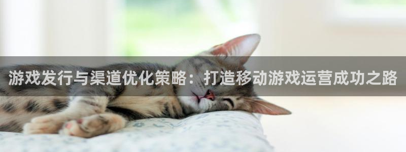 门徒娱乐平台可靠吗：游戏发行与渠道优化策略：打造移动游戏运营成功之路