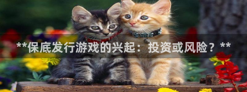 门徒娱乐的员工福利福利与价值：**保底发行游戏的兴起：投资或风险？**