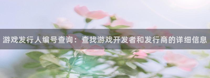 门徒娱乐注册官网入口：游戏发行人编号查询：查找游戏开发者和发行商的详细信息