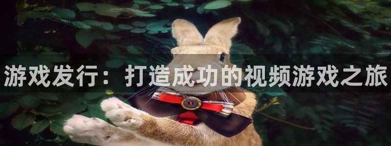 门徒娱乐有没有分红：游戏发行：打造成功的视频游戏之旅