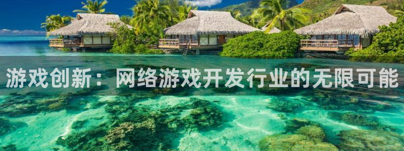 门徒平台家 5O6917 门徒