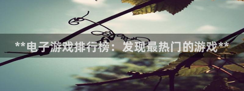 门徒平台是什么：**电子游戏排行榜：发现最热门的游戏**