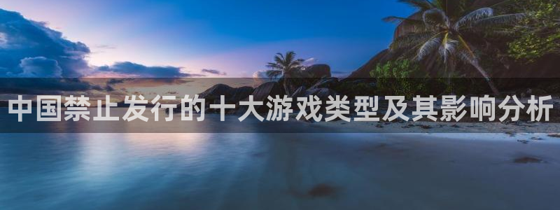 门徒平台系 5O6917 门徒：中国禁止发行的十大游戏类型及其影响分析