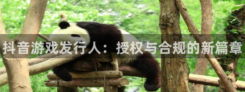 门徒平台测速网址是多少：抖音游戏发行人：授权与合规的新篇章