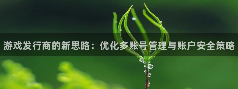 门徒平台开户流程：游戏发行商的新思路：优化多账号管理与账户安全策略