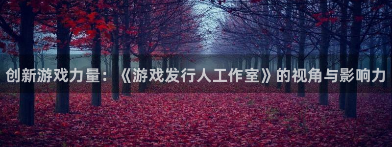 门徒平台徽信搜推客娃娃：创新游戏力量：《游戏发行人工作室》的视角与影响力