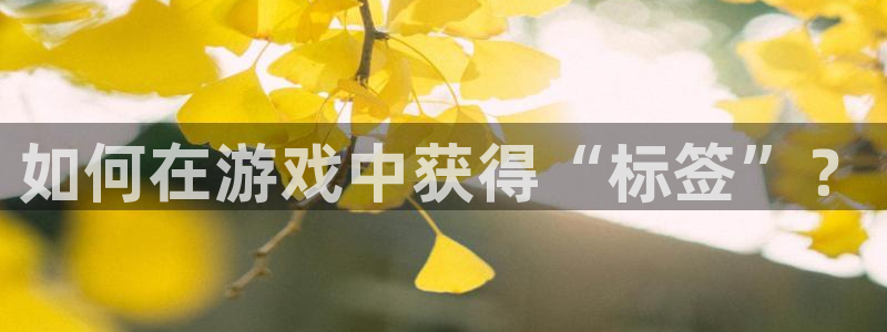 门徒平台集团官网：如何在游戏中获得“标签”？