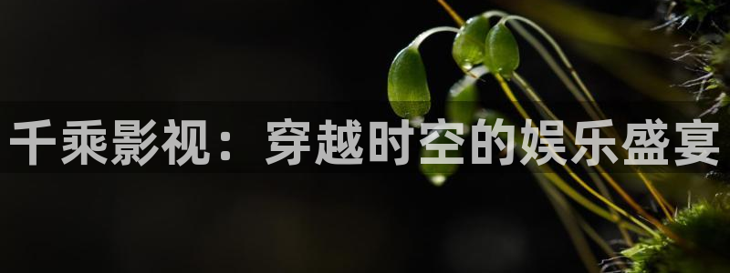 神马三级我不卡电影网：千乘影视：穿越时空的娱乐盛宴