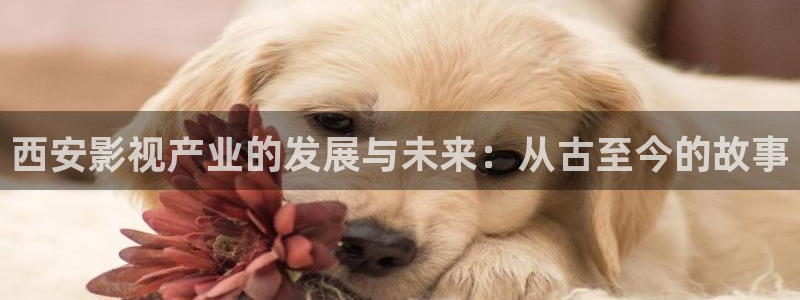 神马手机我不卡电影：西安影视产业的发展与未来：从古至今的故事
