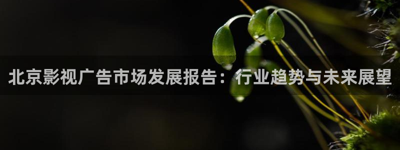 我不卡电影高清完整在线观看：北京影视广告市场发展报告：行业趋势与未来展望