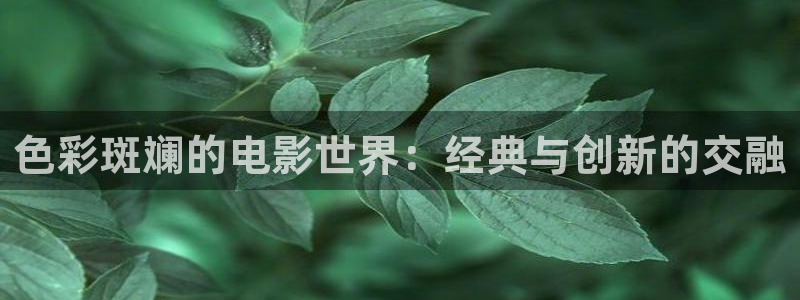 我不卡电影神马：色彩斑斓的电影世界：经典与创新的交融